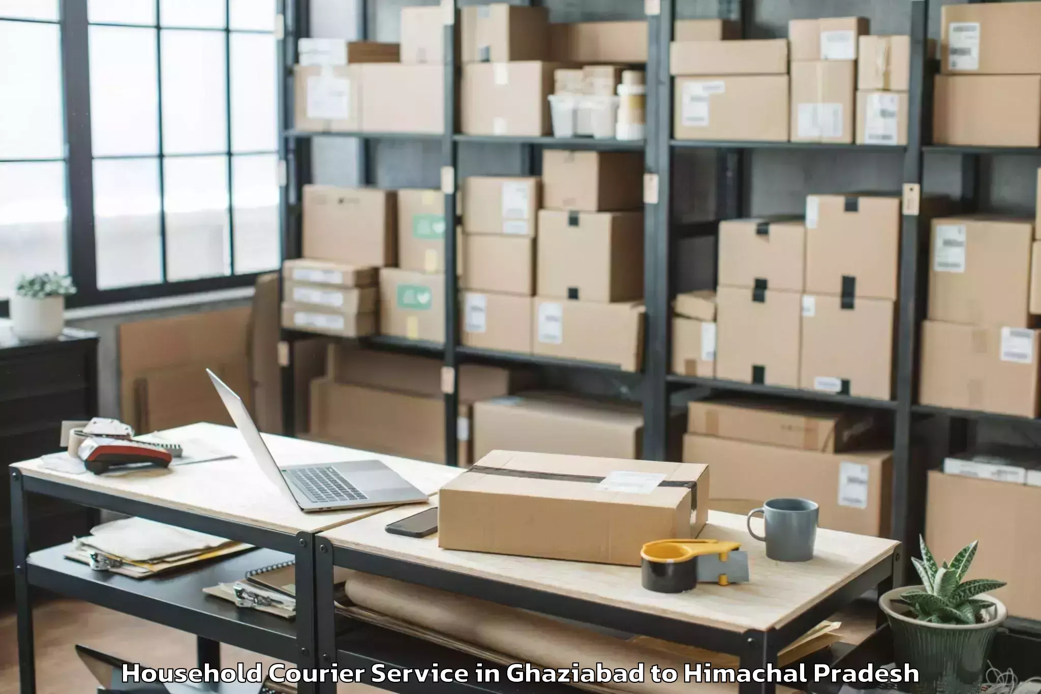 Professional Ghaziabad to Pooh Household Courier